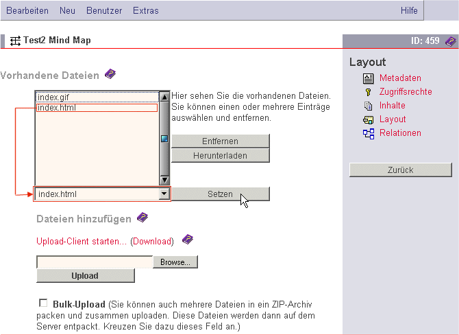 Setzen der HTML-Datei zur Darstellung